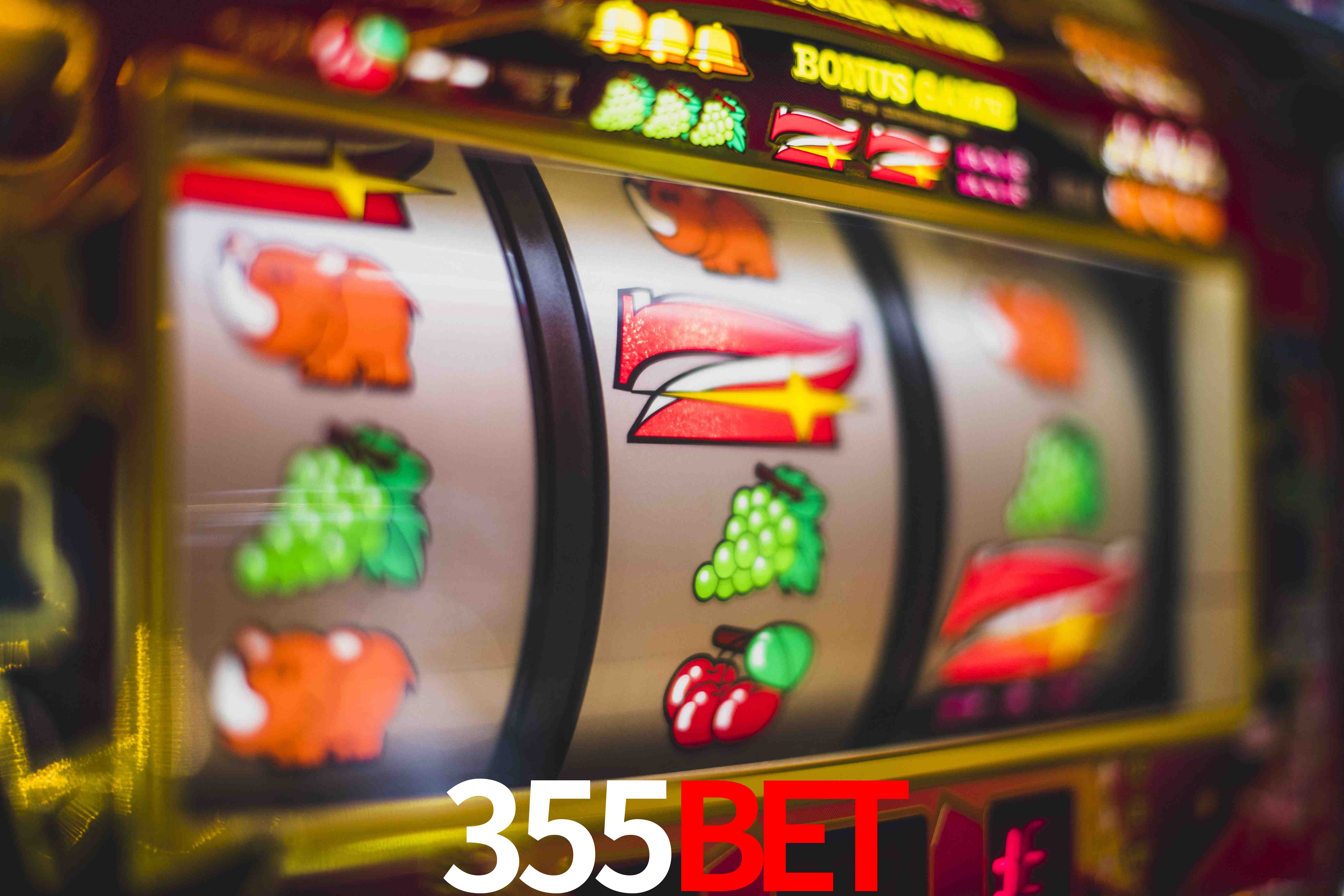 Sports Statistics 355bet